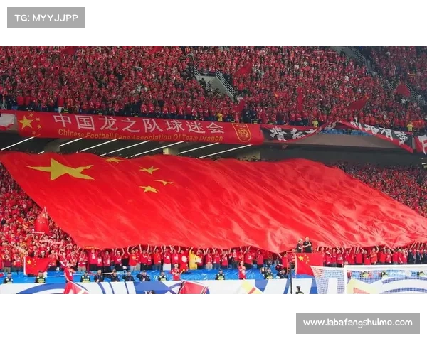 加拿大公开赛观众创纪录,华人球迷挥舞国旗助威俞俊安 加拿大公开赛观众创纪录,华人球迷挥舞国旗助威俞俊安