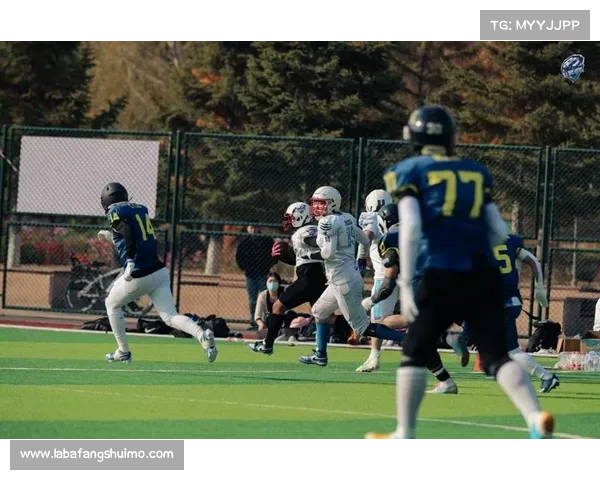 NFL名人堂赛7月31日打响 闪电队对决雄狮队精彩上演 NFL名人堂赛7月31日打响 闪电队对决雄狮队精彩上演